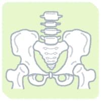 産前・産後の骨盤矯正